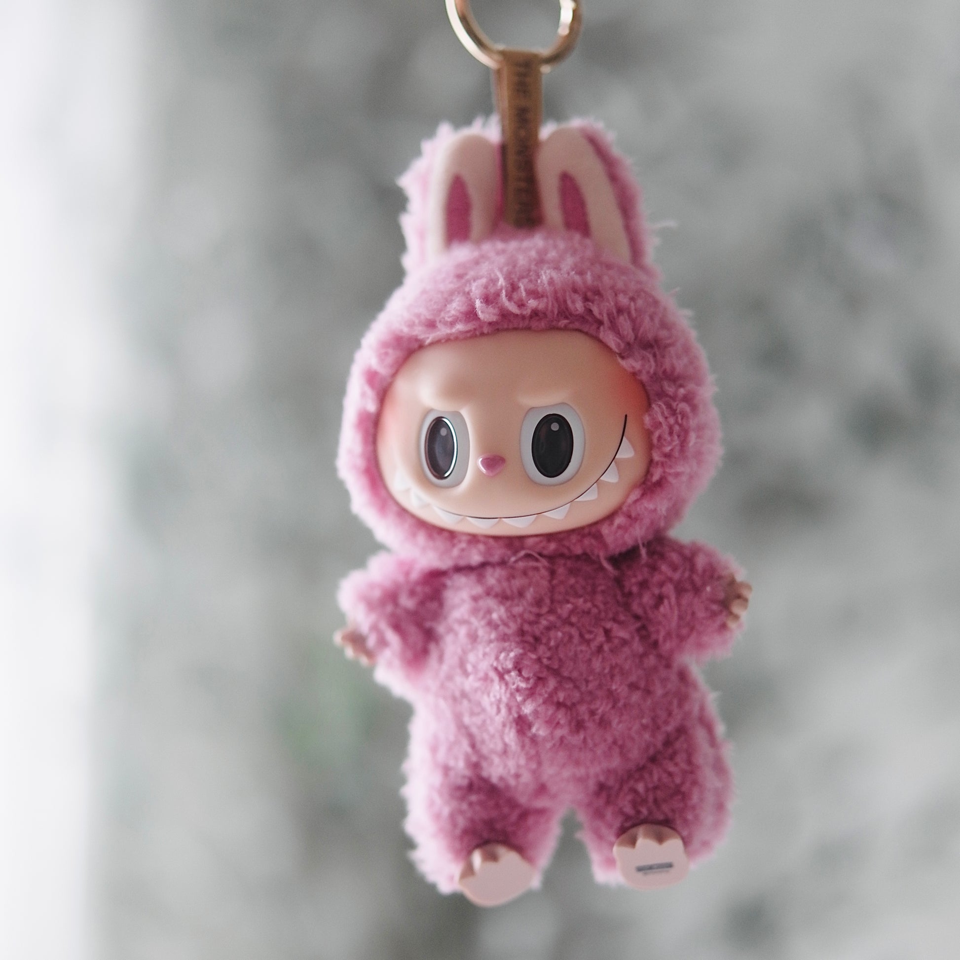 Labubu The Monsters - Exciting Macaron Lychee Berry Vinyl Face Blind Box