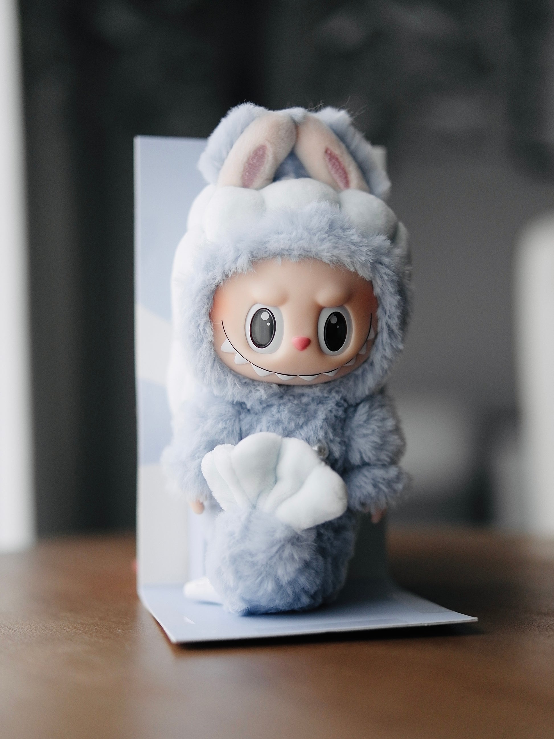 Labubu The Monsters Hide and Seek (Singapore Exclusive) Vinyl Plush Hanging Card